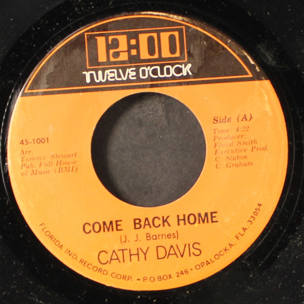 come back home / part 2 by CATHY DAVIS