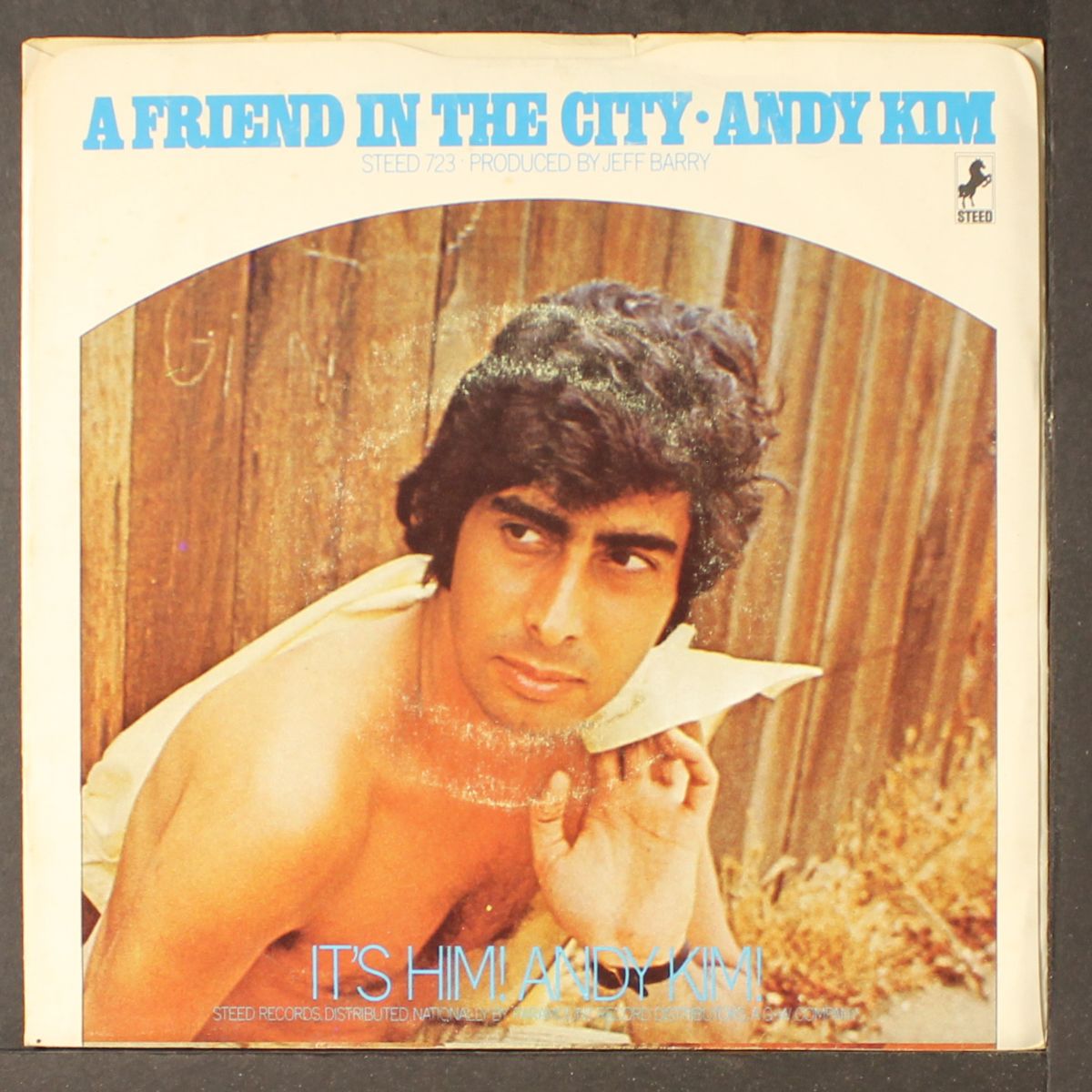 a friend in the city / you by ANDY KIM