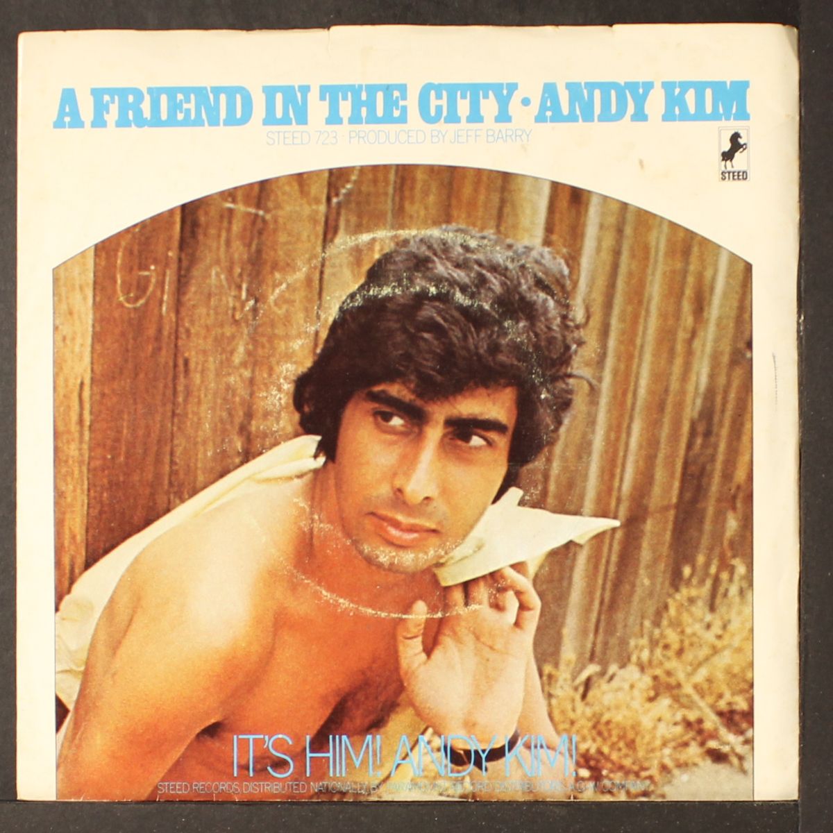 a friend in the city / you by ANDY KIM