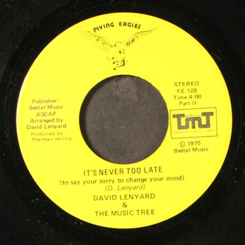 DAVID LENYARD