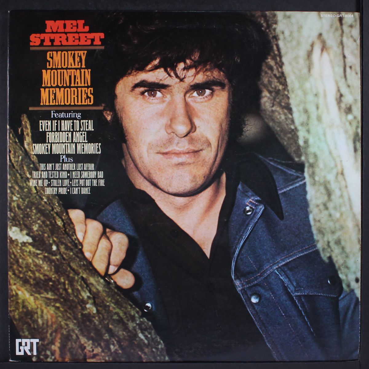 smokey mountain memories by MEL STREET