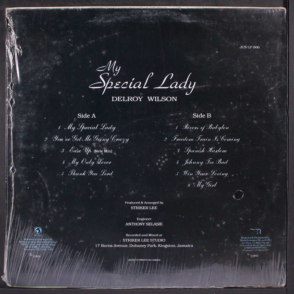 my special lady by DELROY WILSON