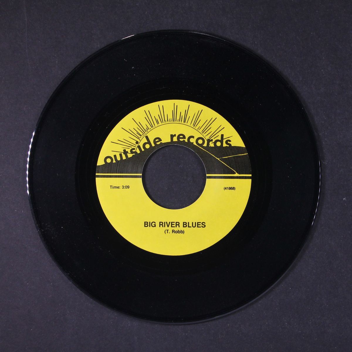 psychedelta by TERRY ROBB BAND