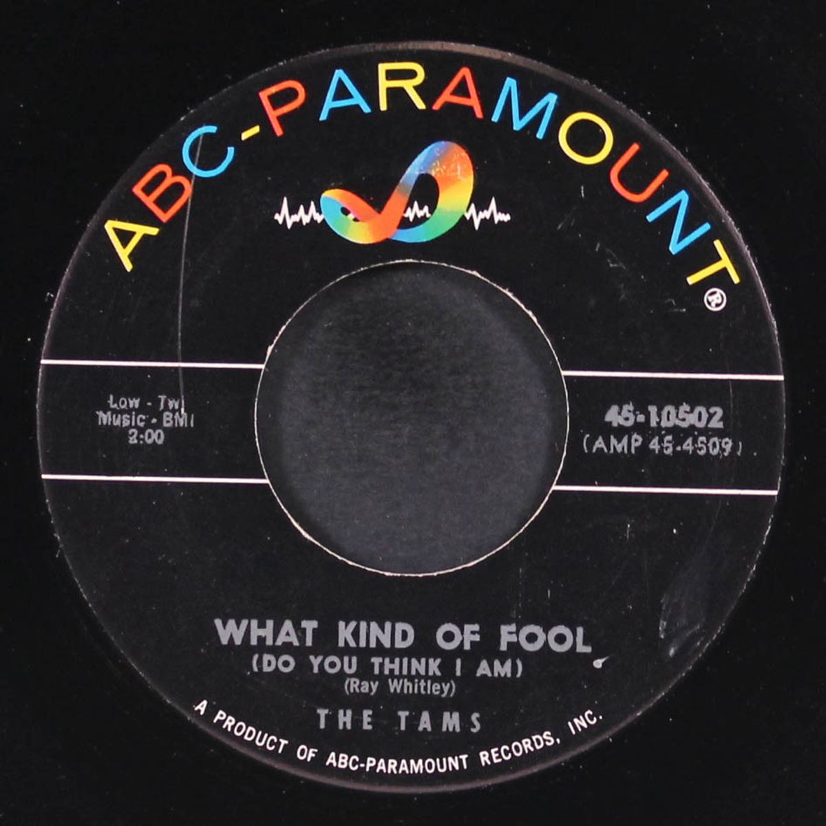 what kind of fool / laugh it off by TAMS
