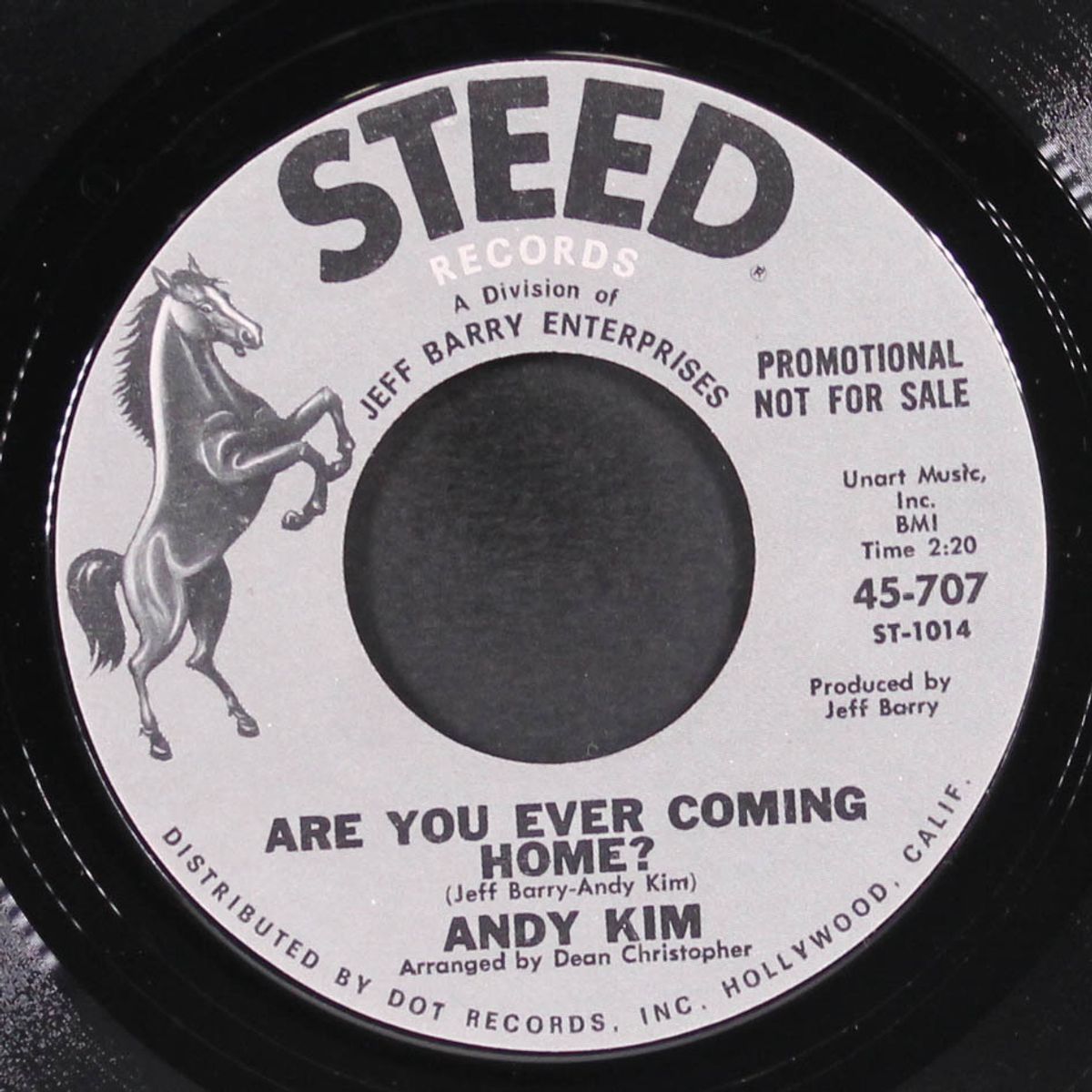 are you ever coming home? / how'd we ever get this way? by ANDY KIM