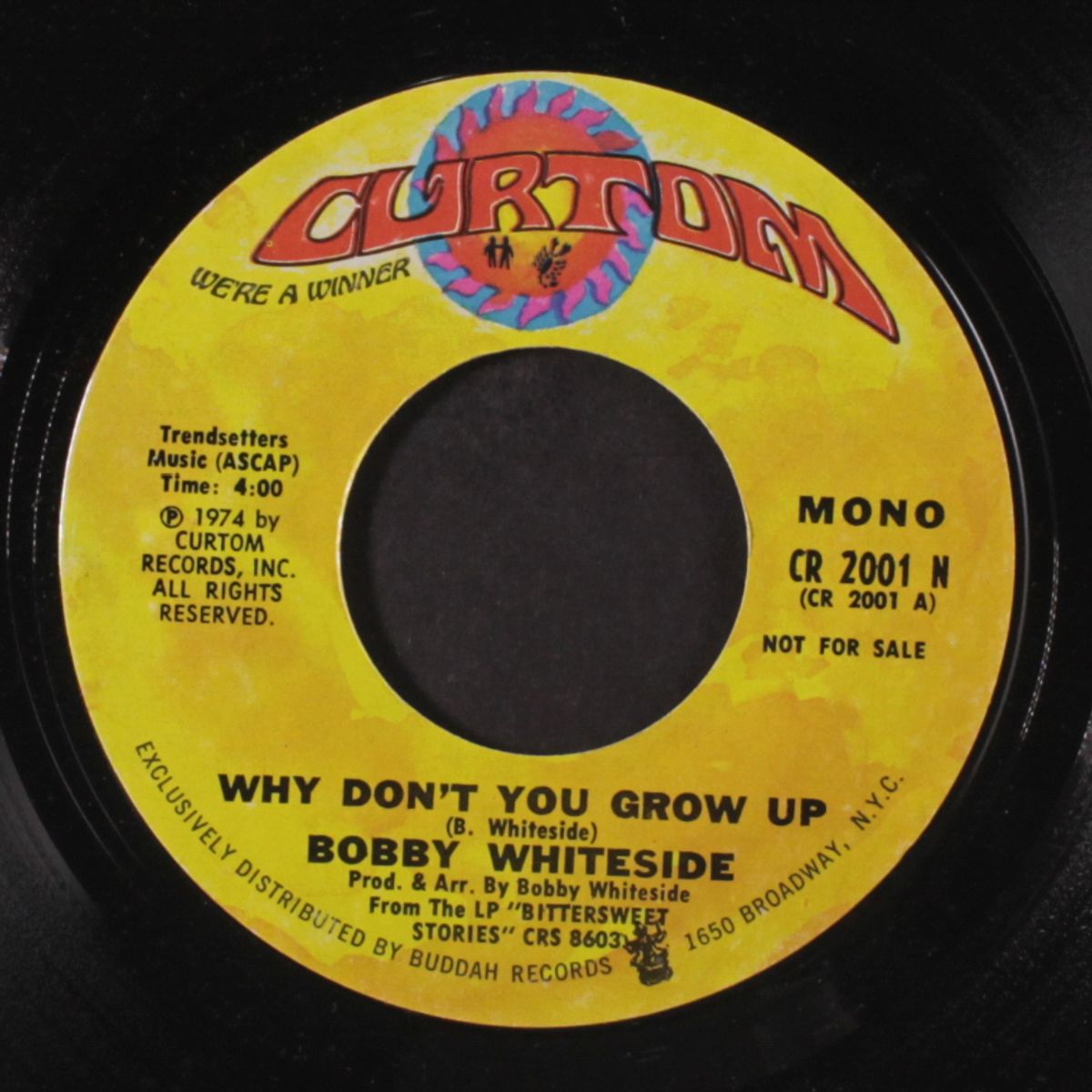 why don't you grow up / mono by BOBBY WHITESIDE