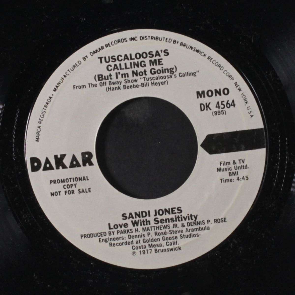 tuscaloosa's calling me / mono by SANDI JONES