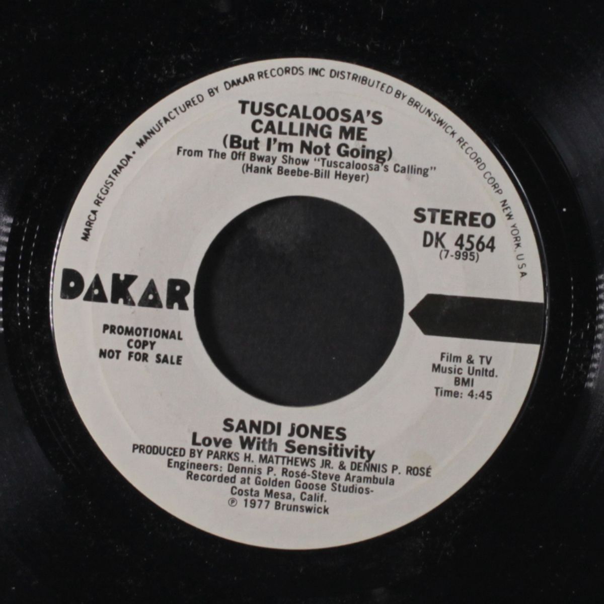 tuscaloosa's calling me / mono by SANDI JONES