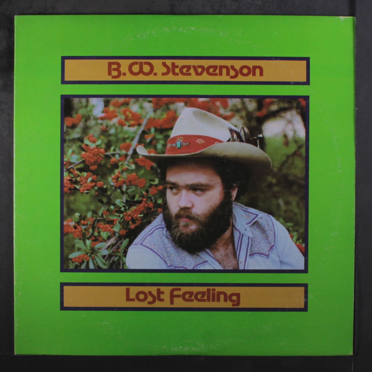 lost feeling by B.W. STEVENSON