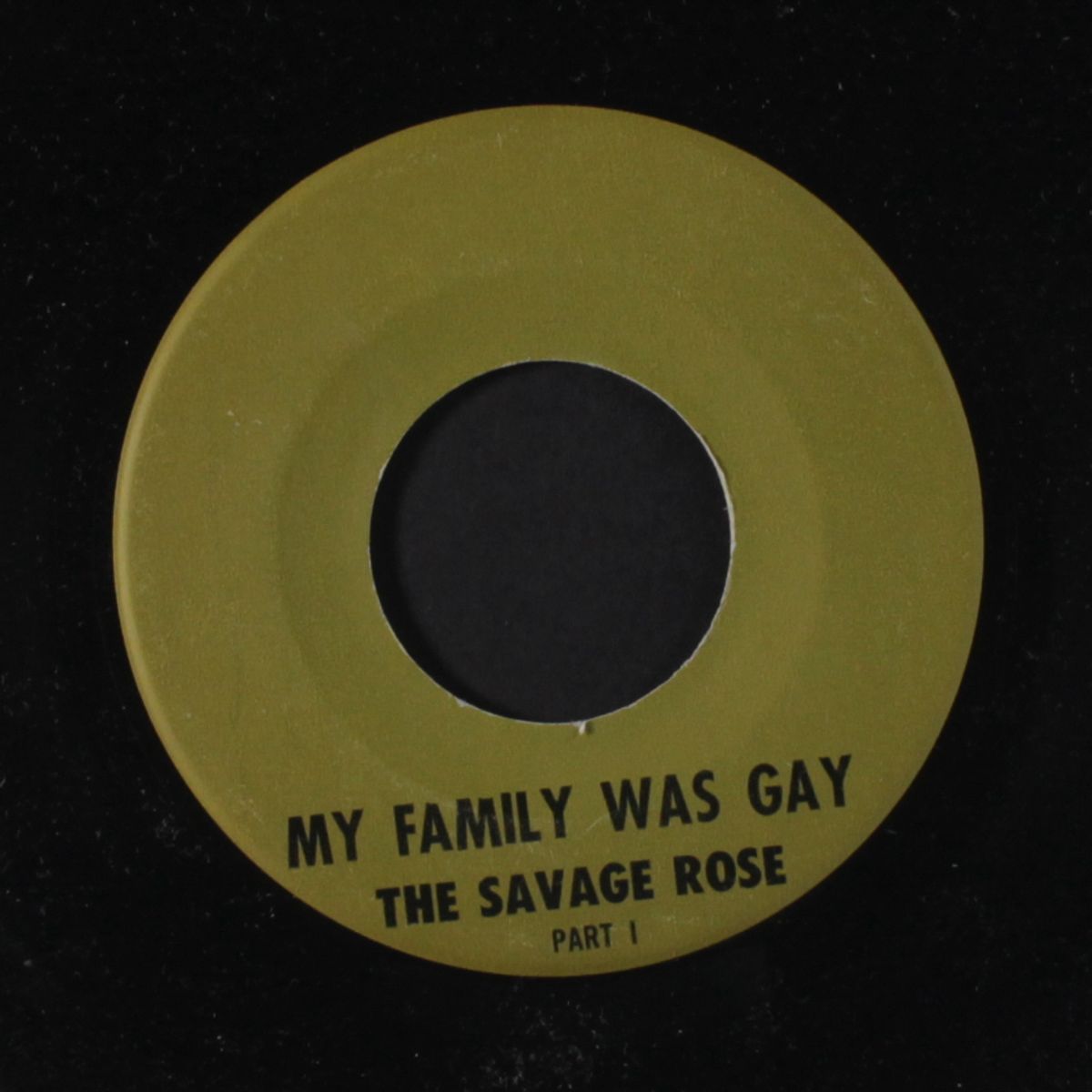 my family was gay / part 2 by SAVAGE ROSE