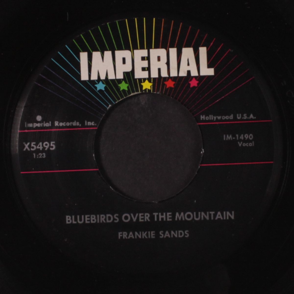 bluebirds over the mountain by FRANKIE SANDS
