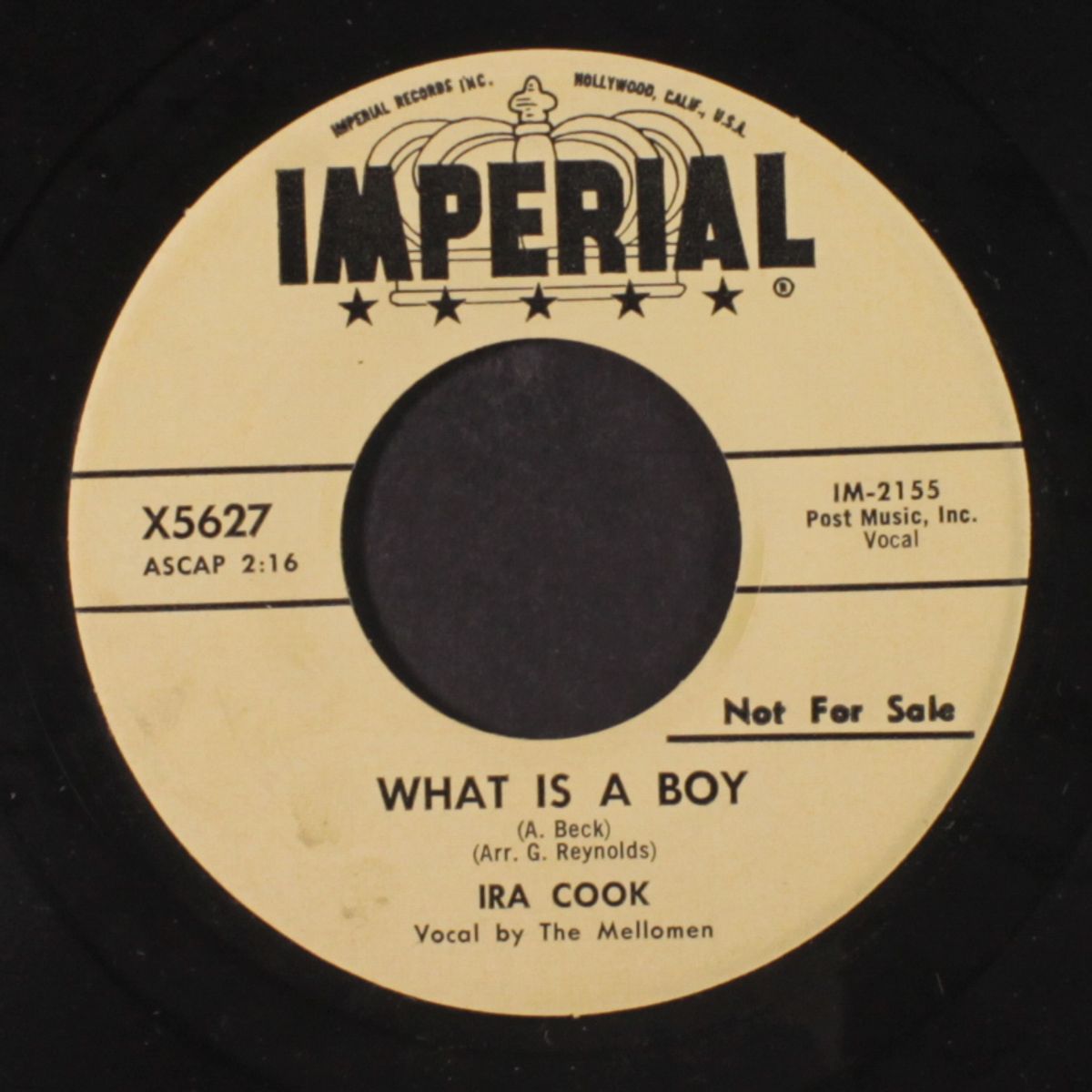what is a boy by IRA COOK