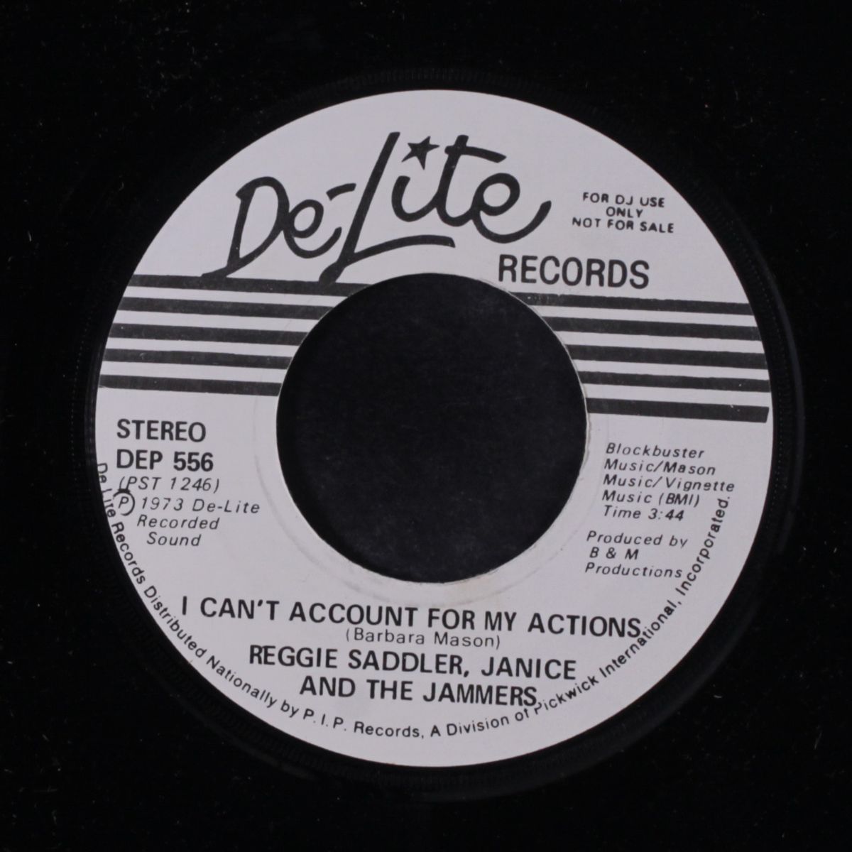 i can't account for my actions / mono by REGGIE SADLER, JANICE & JAMMERS
