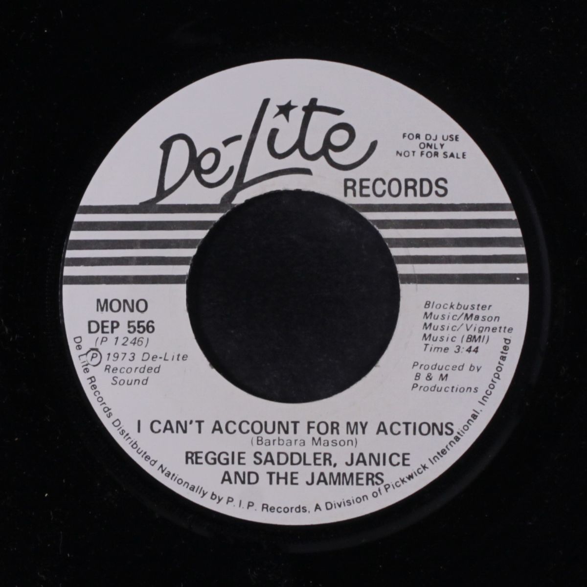 i can't account for my actions / mono by REGGIE SADLER, JANICE & JAMMERS