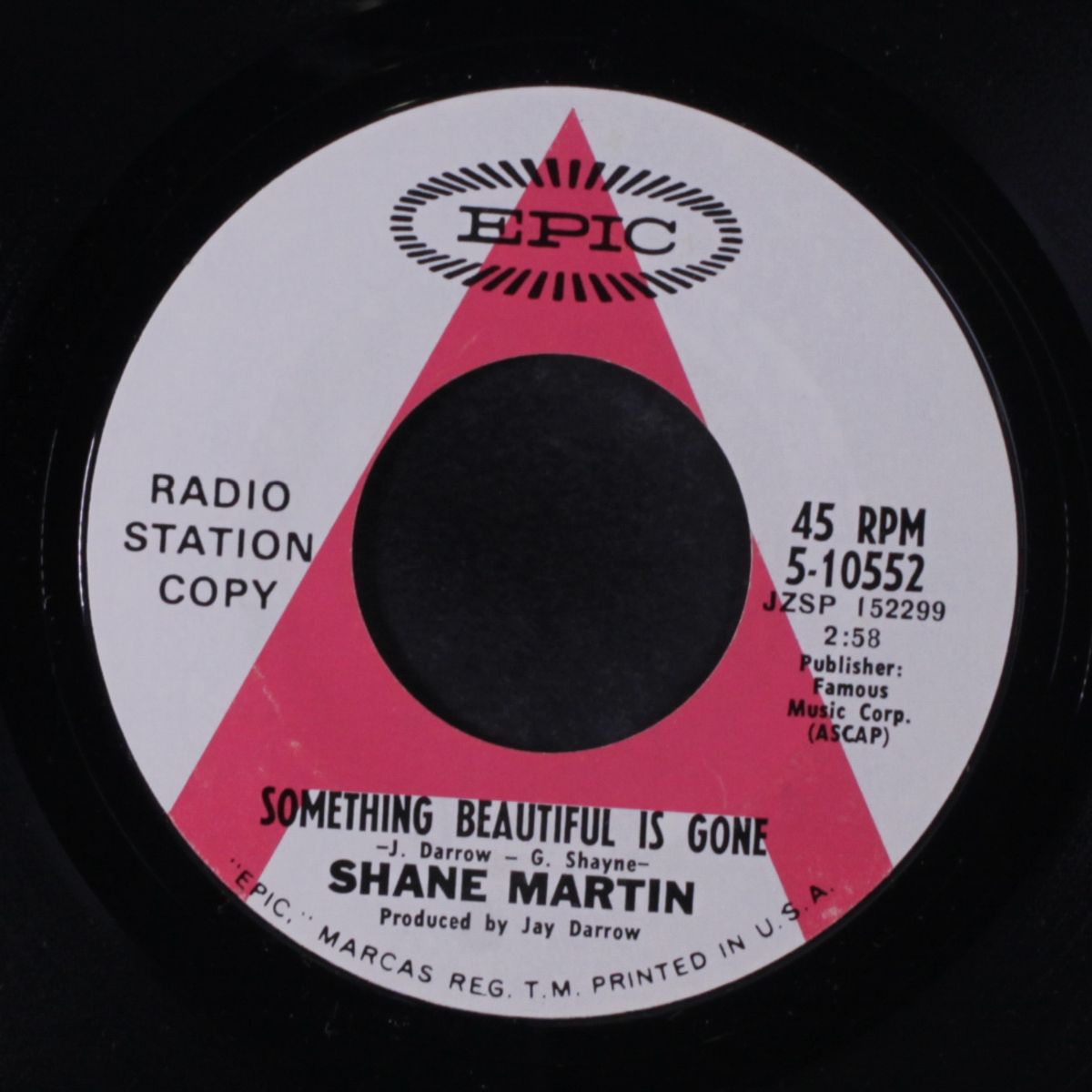 let me live / something beautiful is gone by SHANE MARTIN