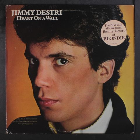 JIMMY DESTRI