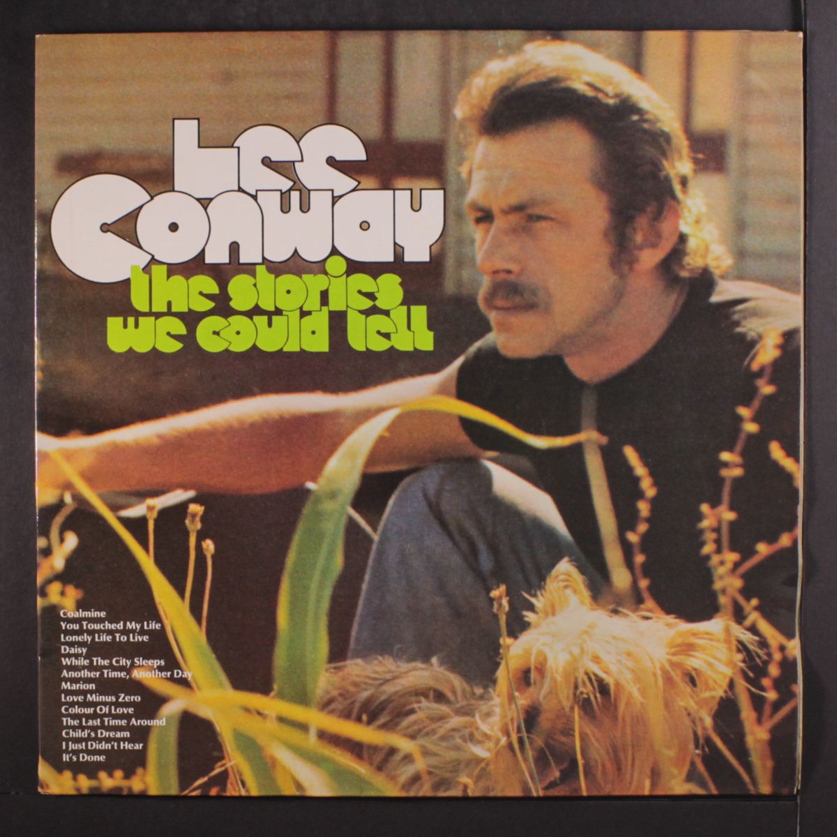 the stories we could tell by LEE CONWAY