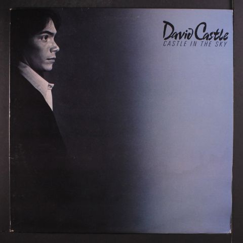 DAVID CASTLE