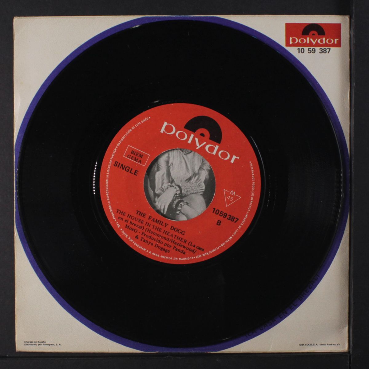 arizona / the house in the heather by FAMILY DOGG