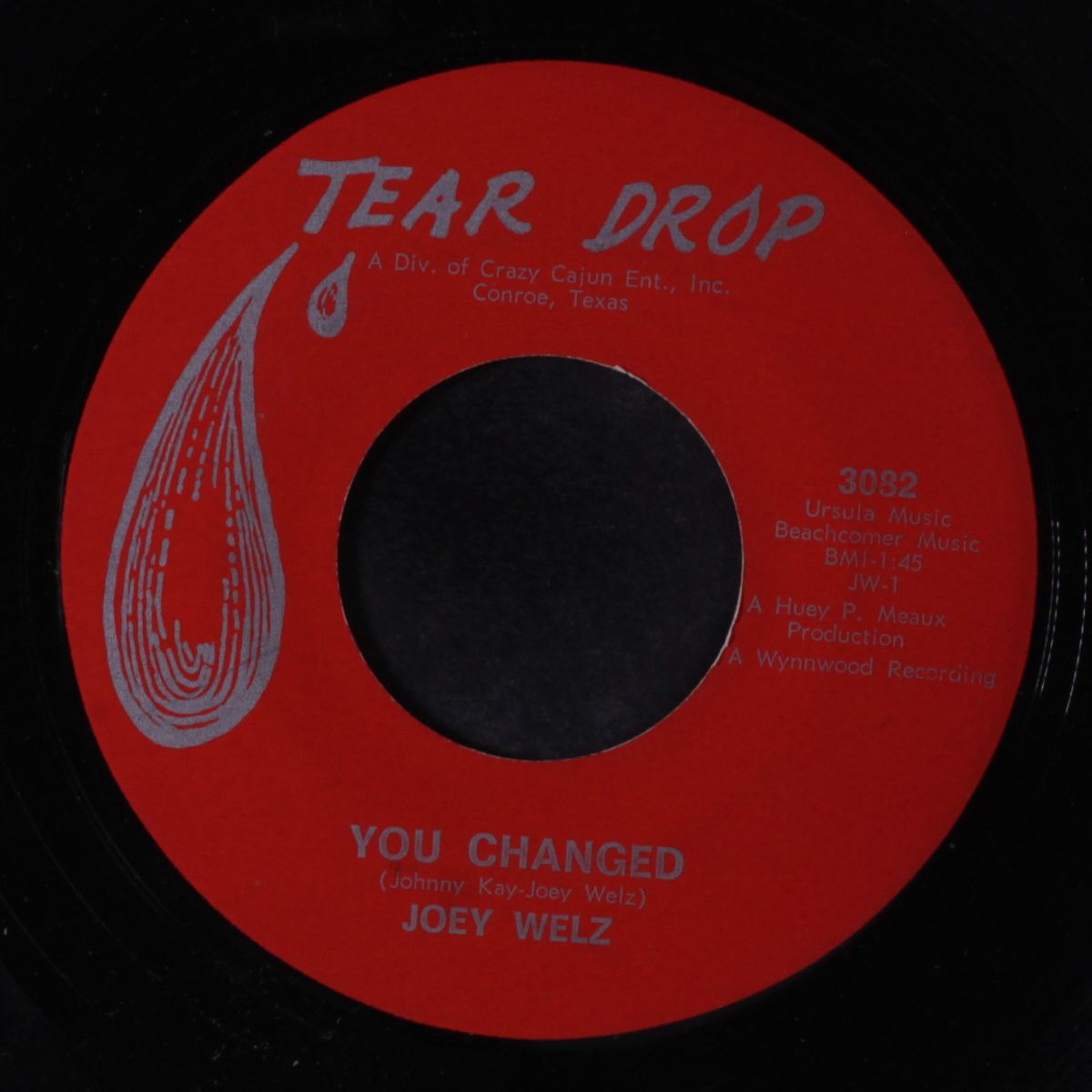 baby let your hair hang down / you changed by JOEY WELZ