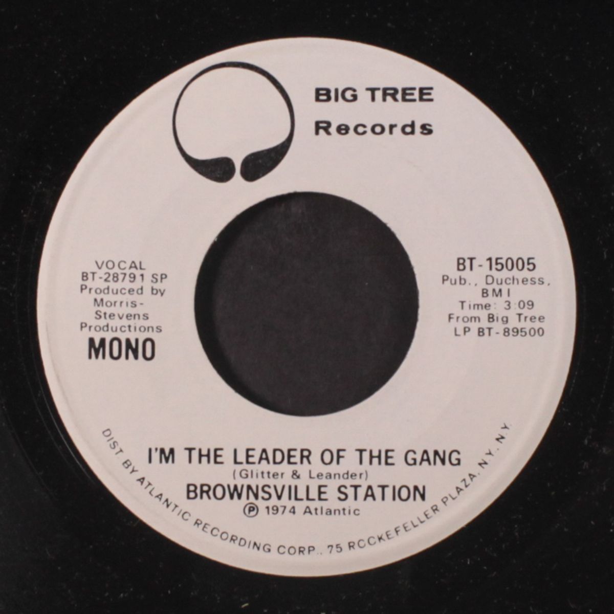 i'm the leader of the gang / mono by BROWNSVILLE STATION