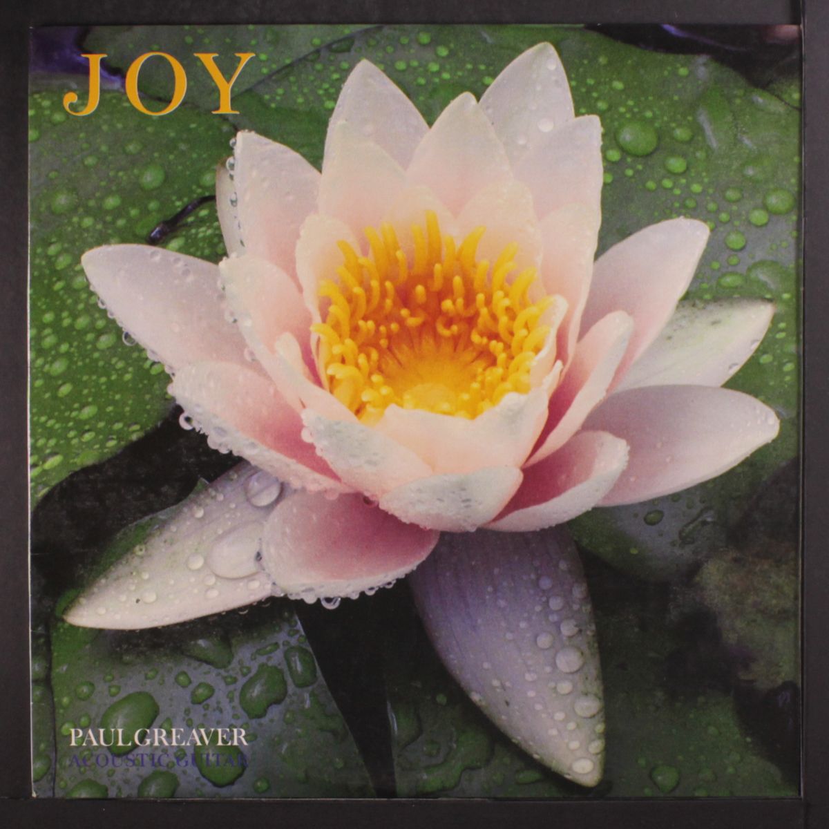 joy by PAUL GREAVER