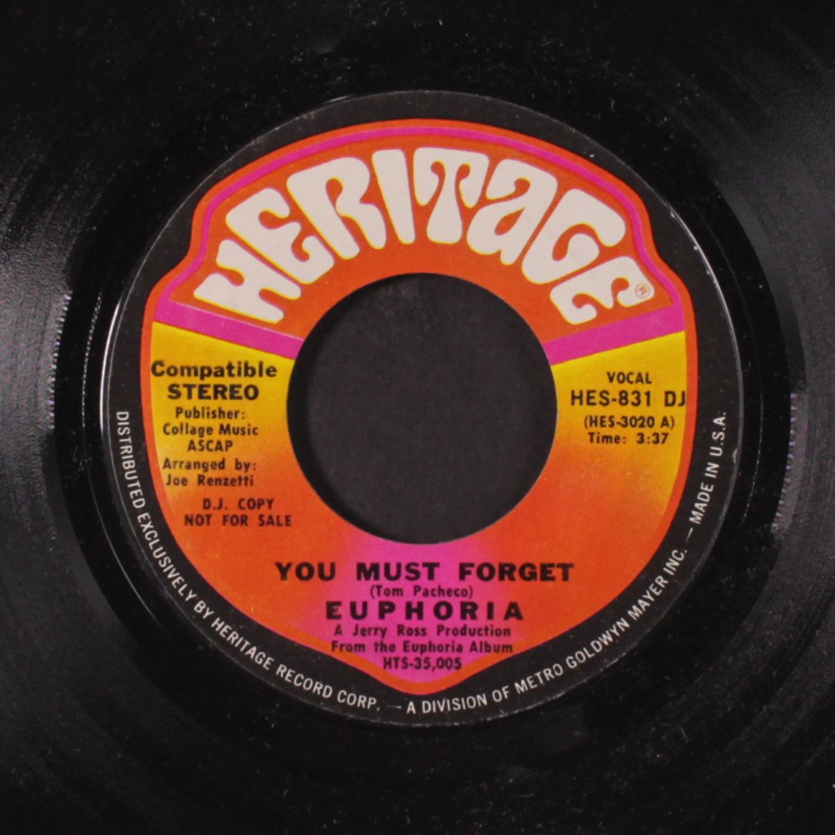 you must forget / same by EUPHORIA