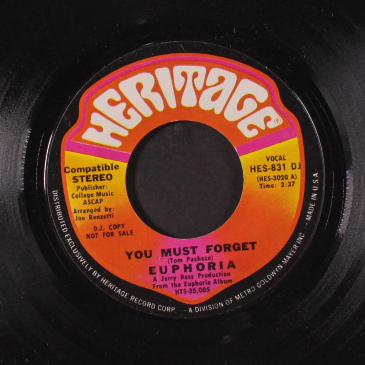 you must forget / same by EUPHORIA