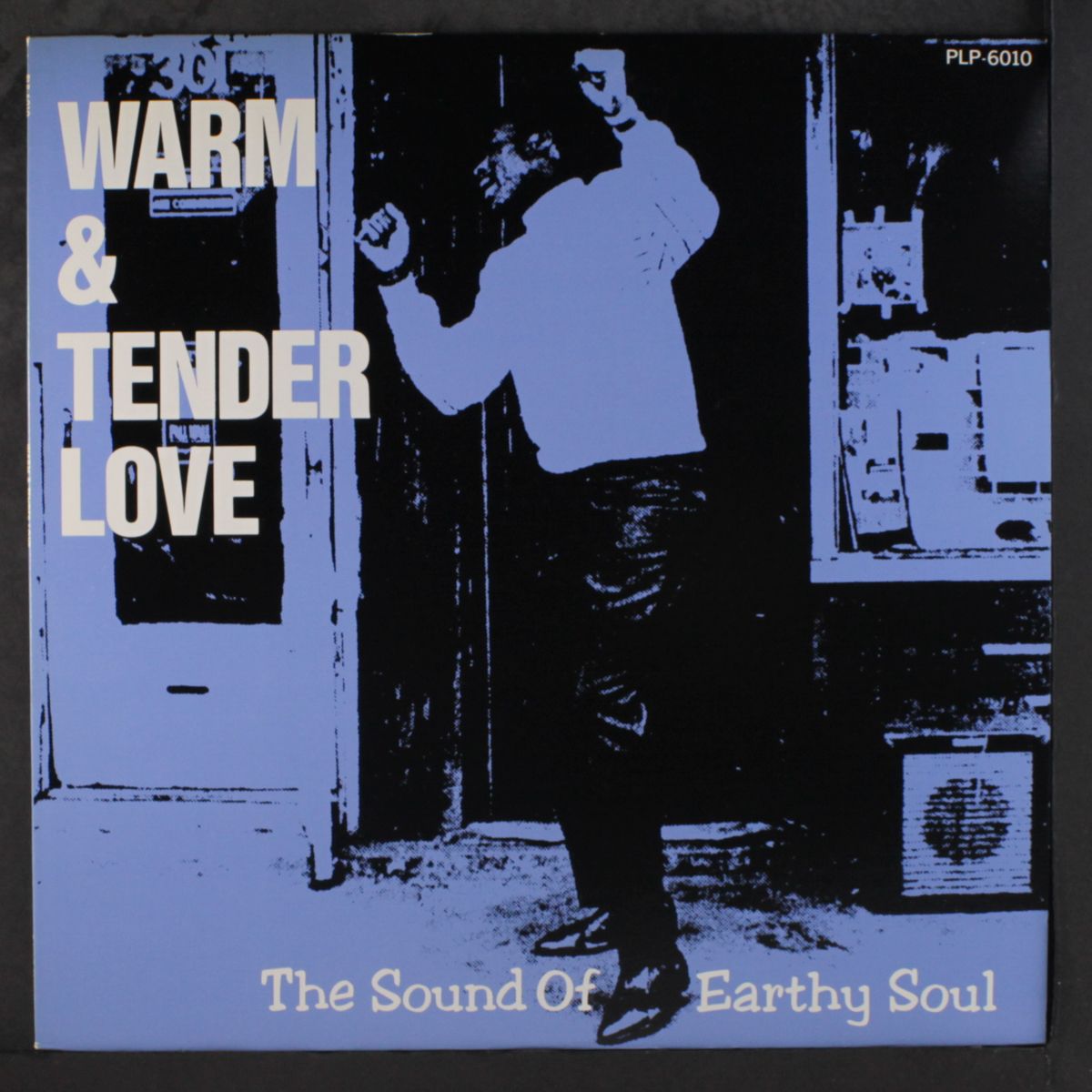 warm & tender love - the sound of earthy soul by VARIOUS