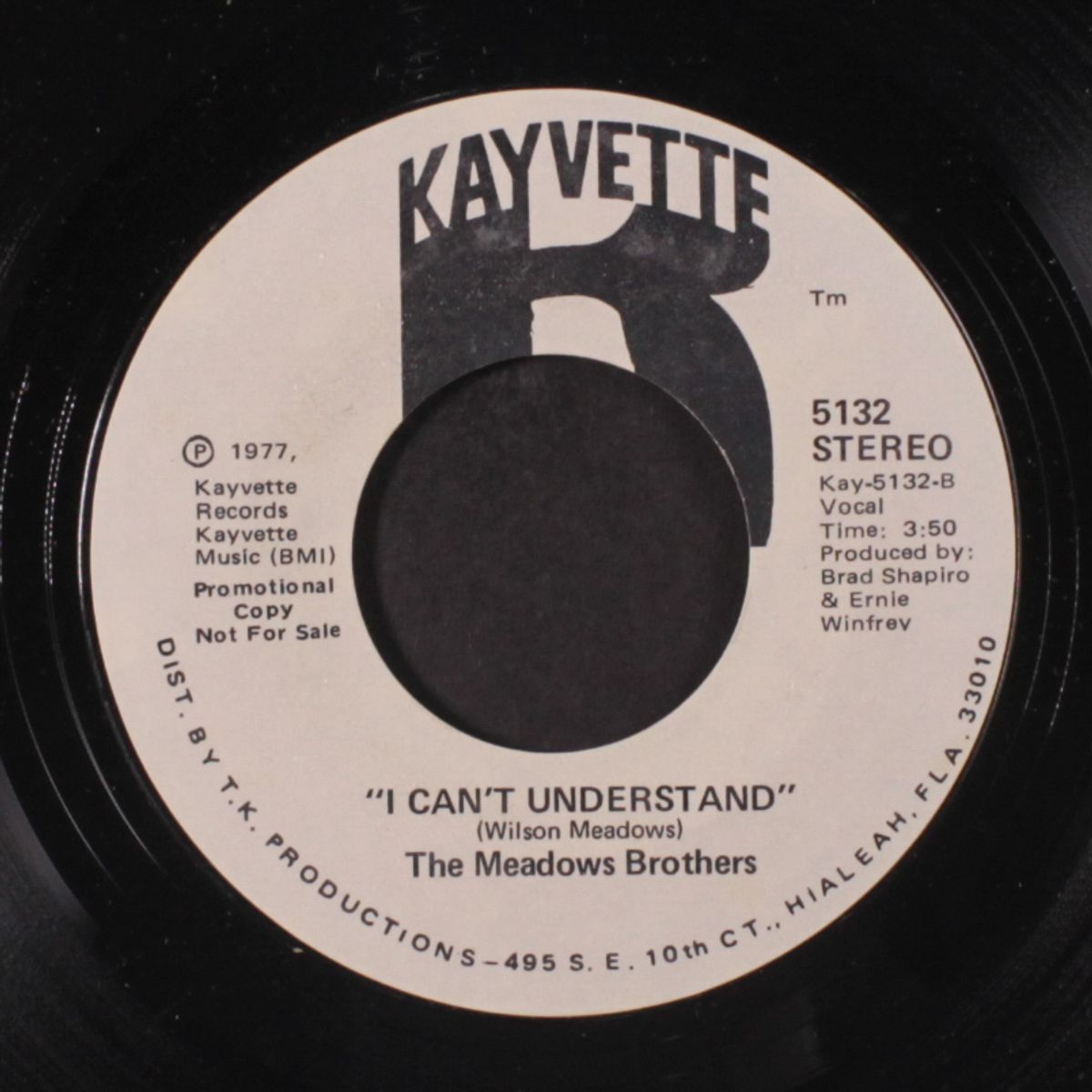 i can't understand / same by MEADOWS BROTHERS