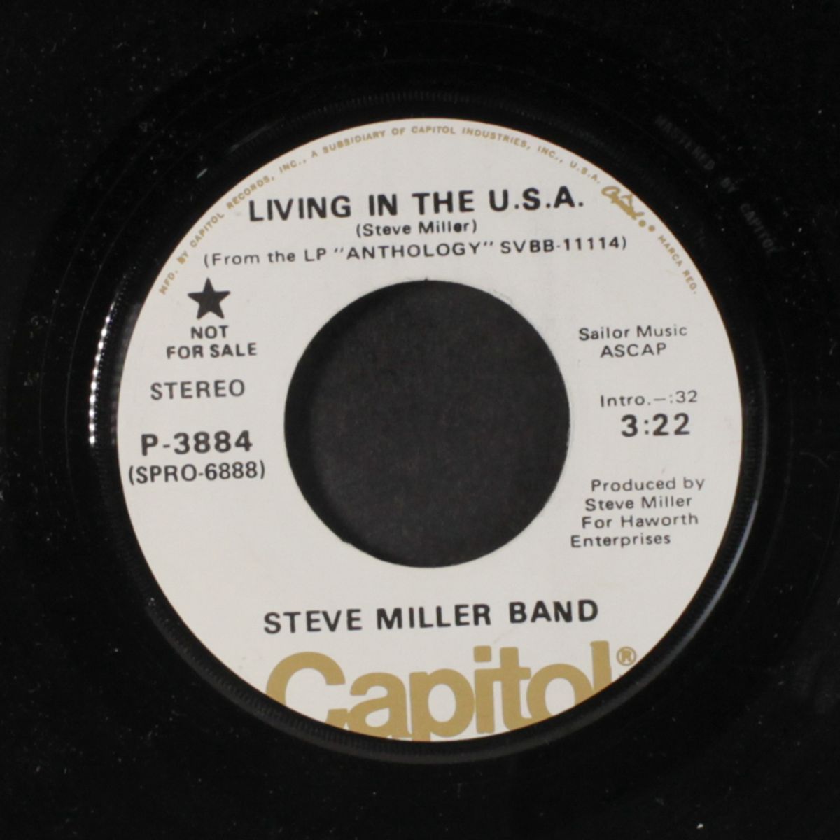 living in the u.s.a. by STEVE MILLER