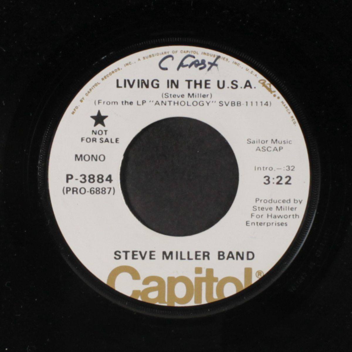 living in the u.s.a. by STEVE MILLER