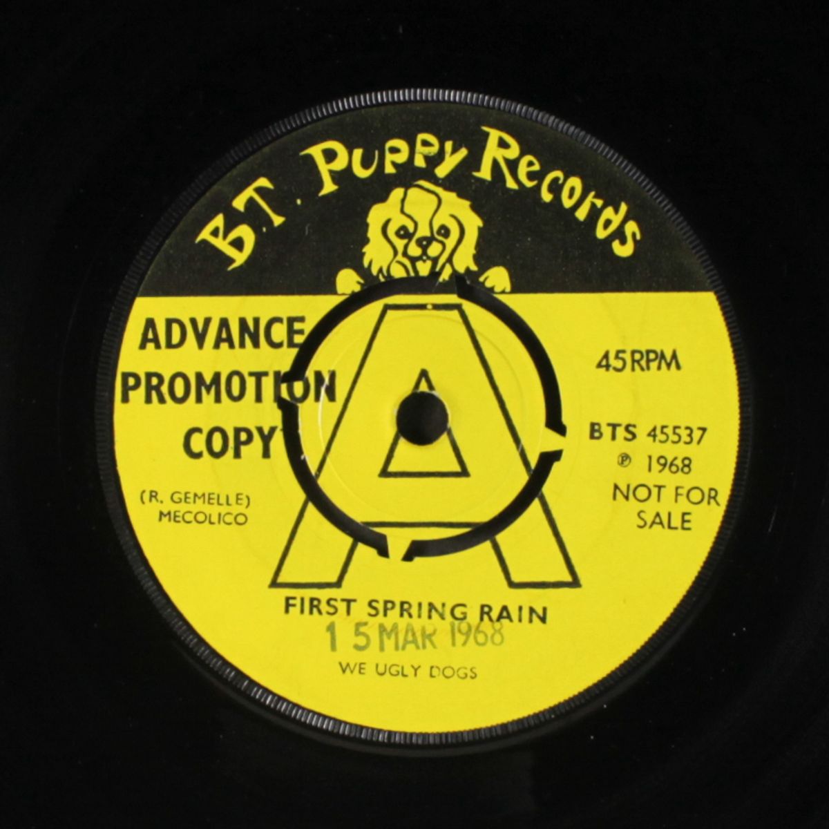 first spring rain / poor man by WE UGLY DOGS