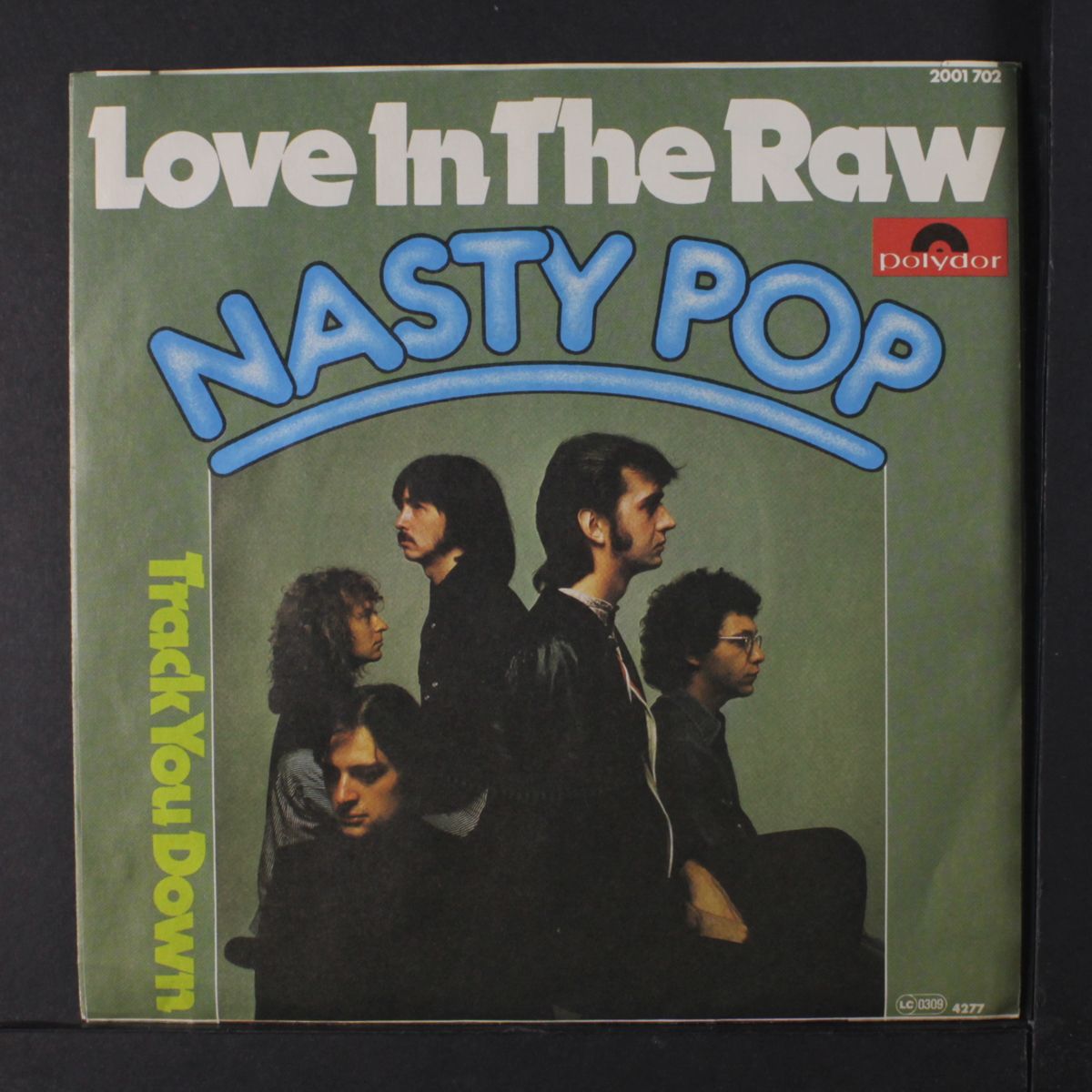 love in the raw / track you down by NASTY POP