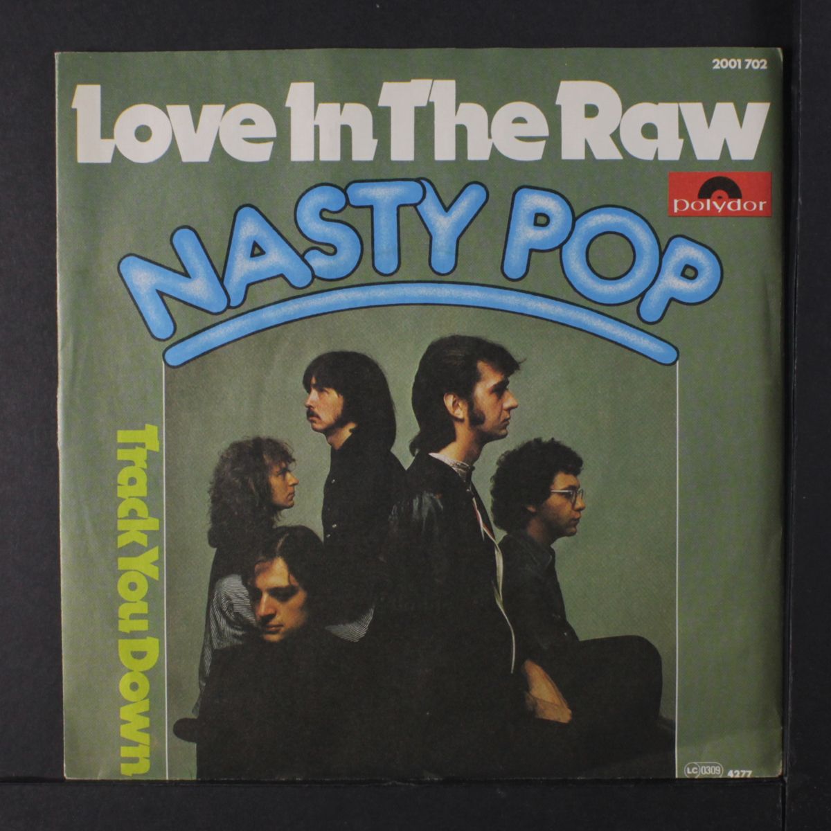 love in the raw / track you down by NASTY POP