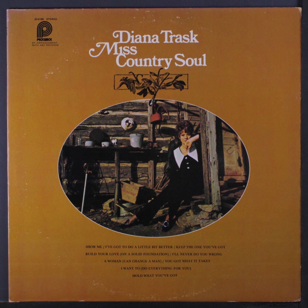 miss country soul by DIANA TRASK