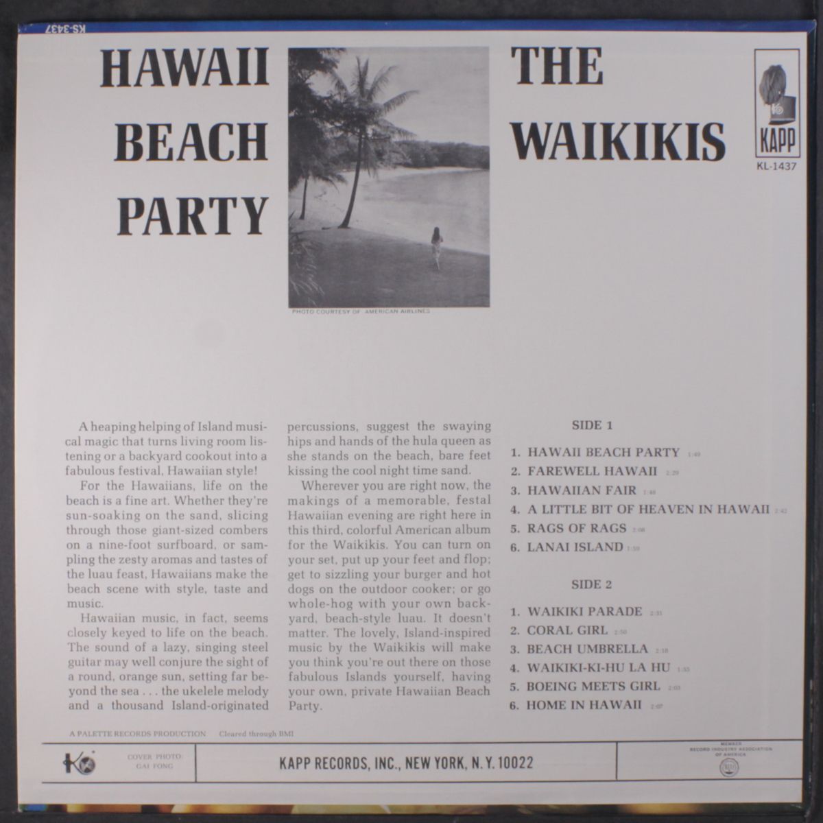 hawaii beach party by WAIKIKIS