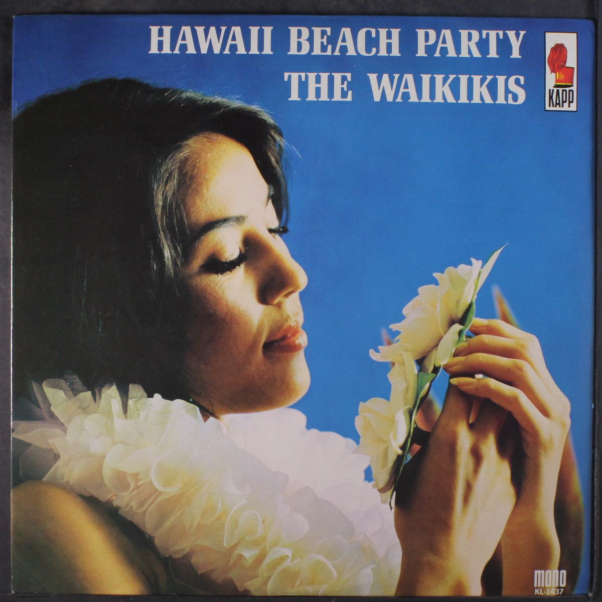 hawaii beach party by WAIKIKIS