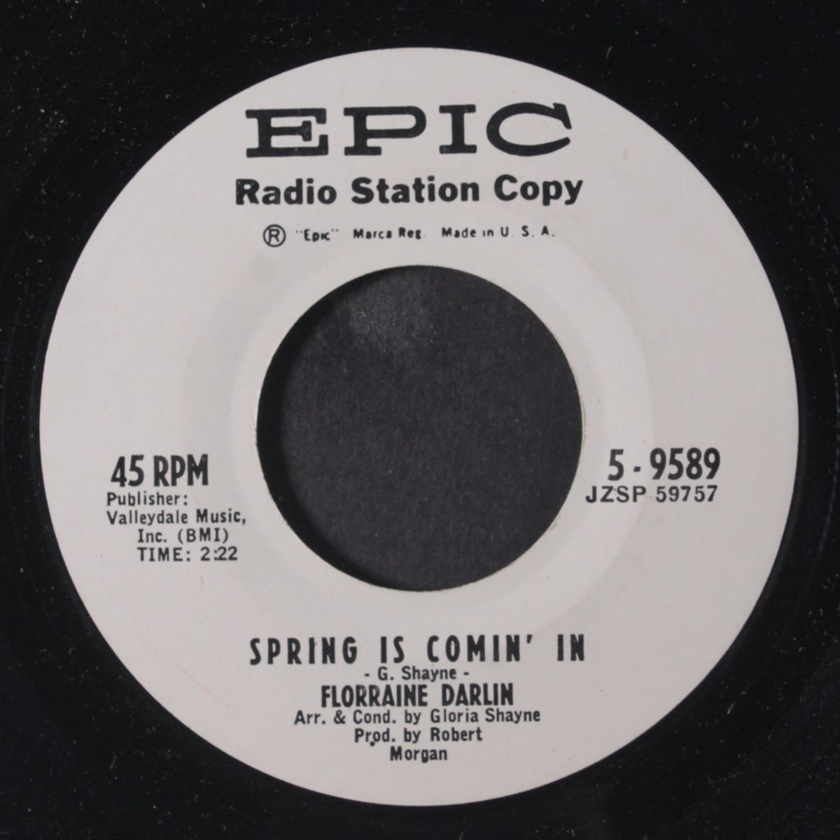 i'm goin' dancin' / spring is comin' in by FLORRAINE DARLIN
