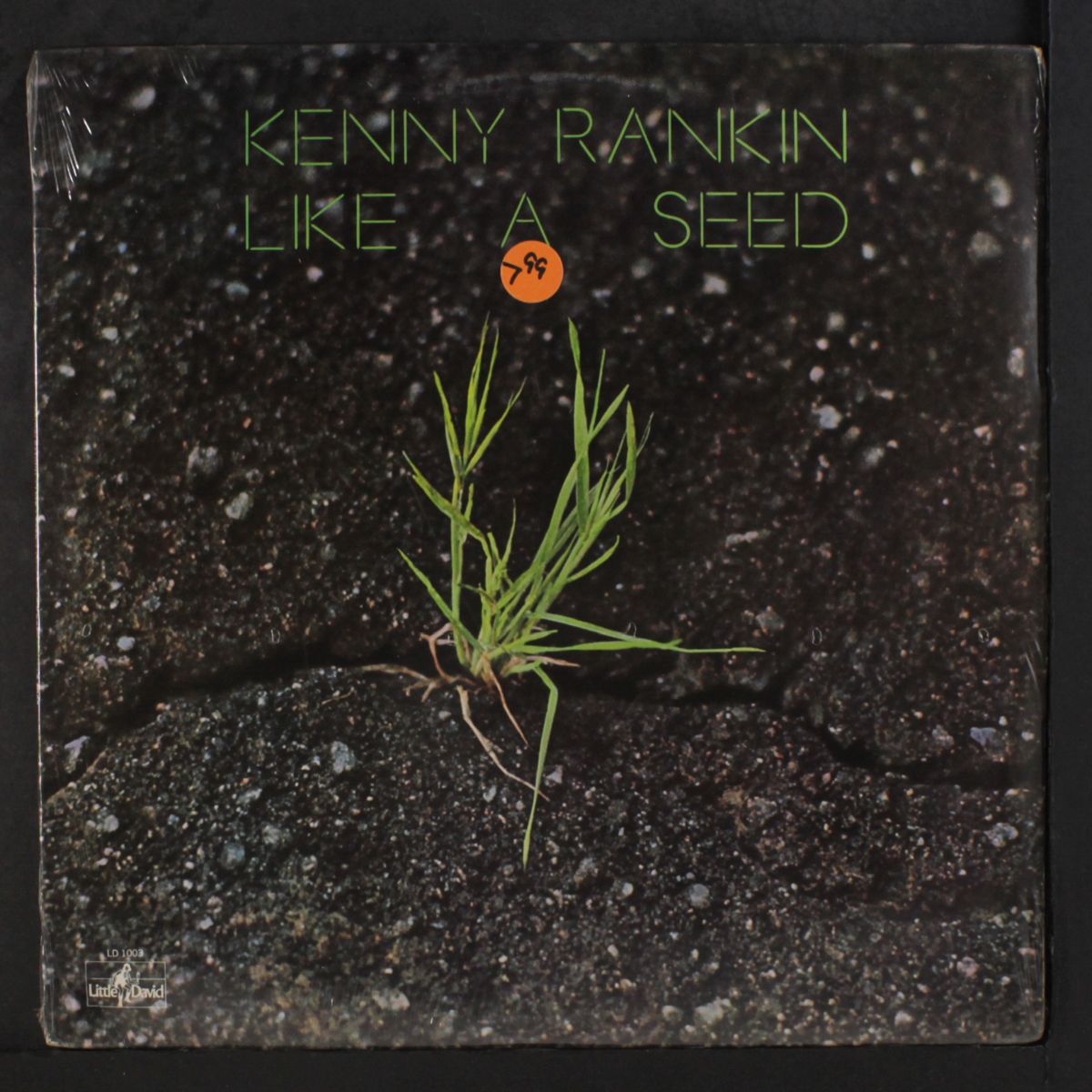 like a seed by KENNY RANKIN