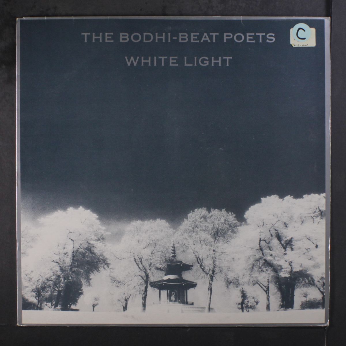 white light by BODHI BEAT POETS