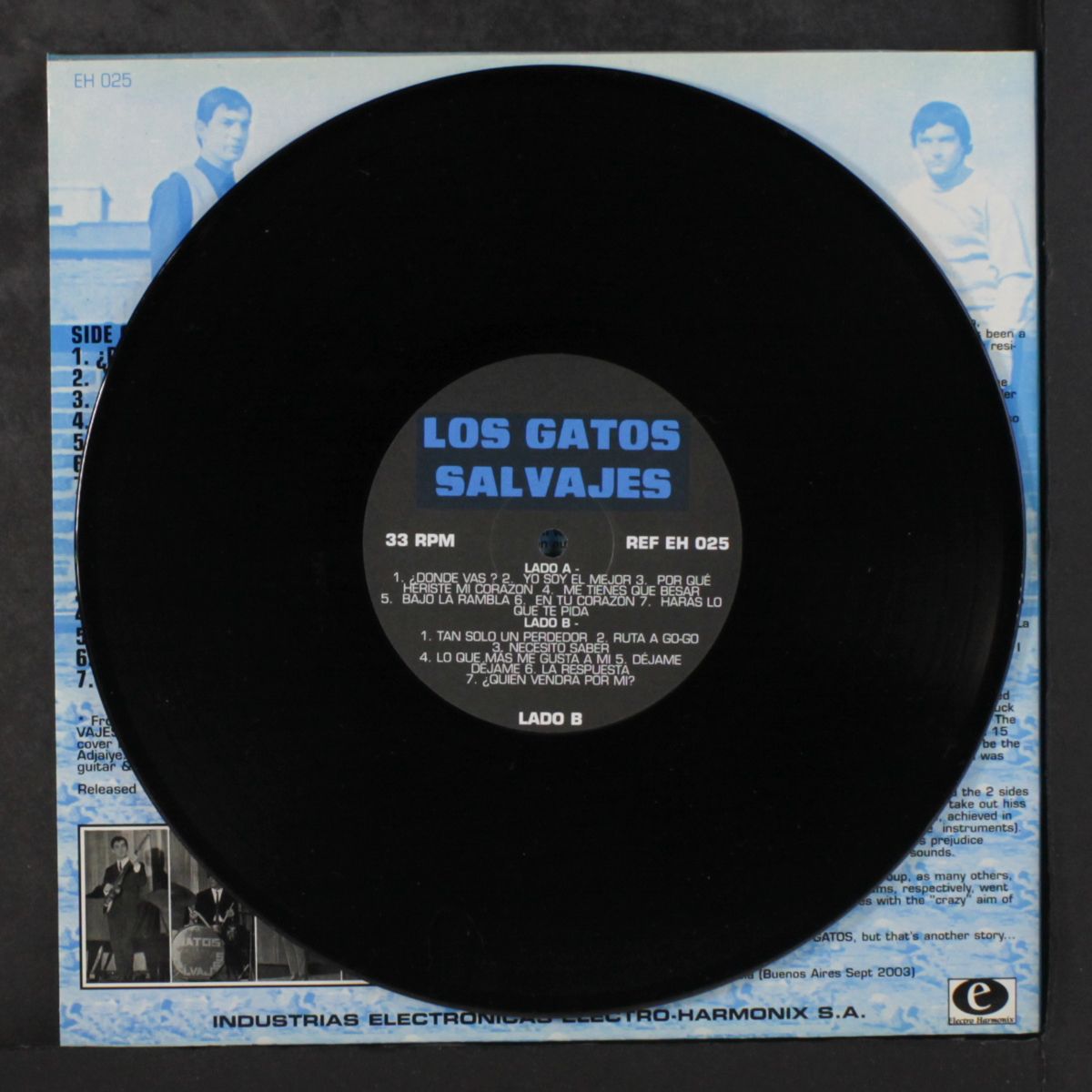 argentina's #1 beat band by LOS GATOS SALVAJES