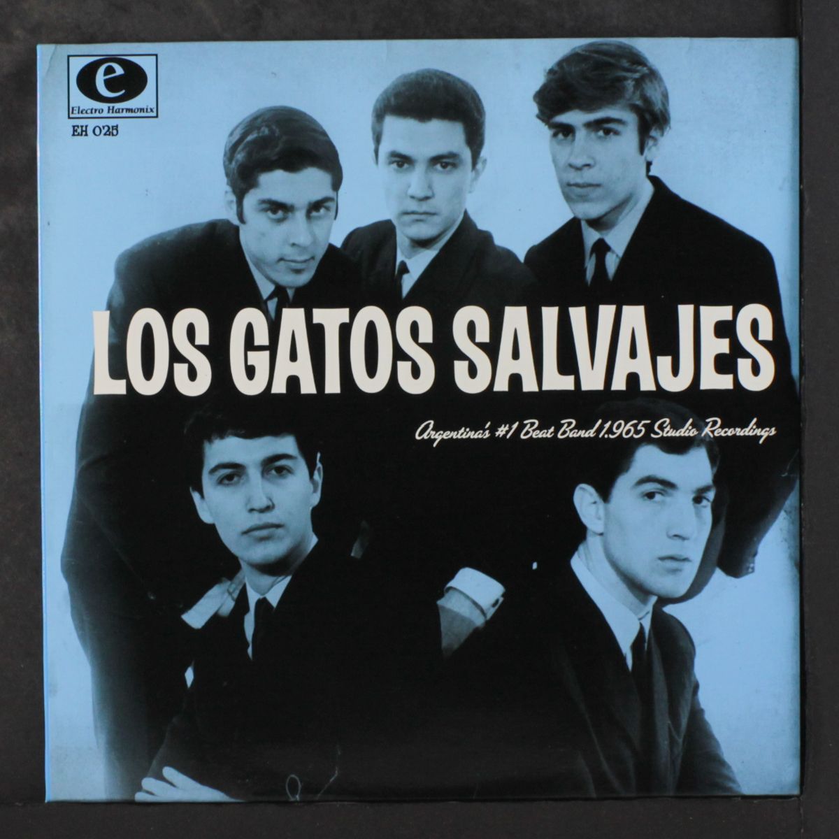 argentina's #1 beat band by LOS GATOS SALVAJES