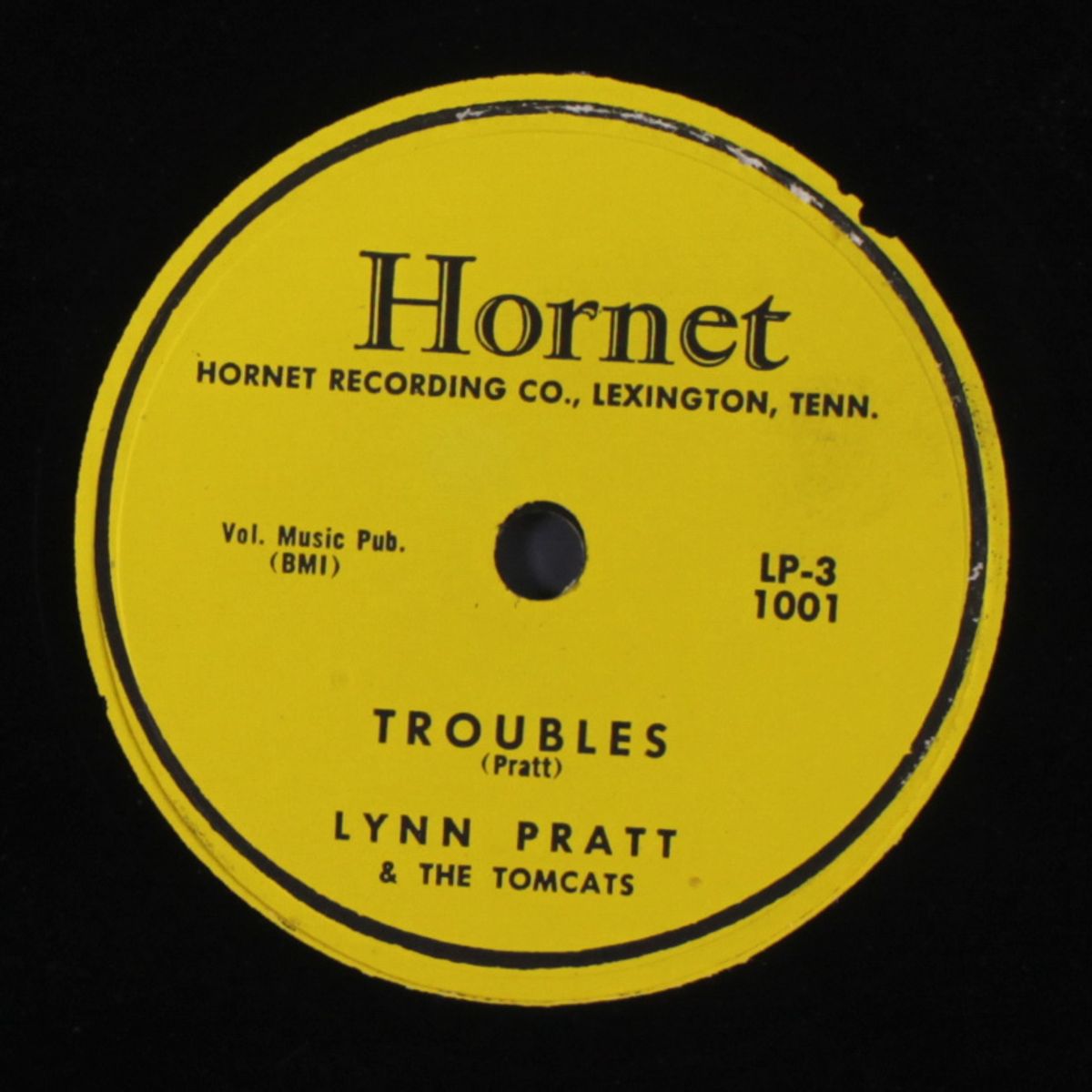 troubles / i don't need by LYNN PRATT