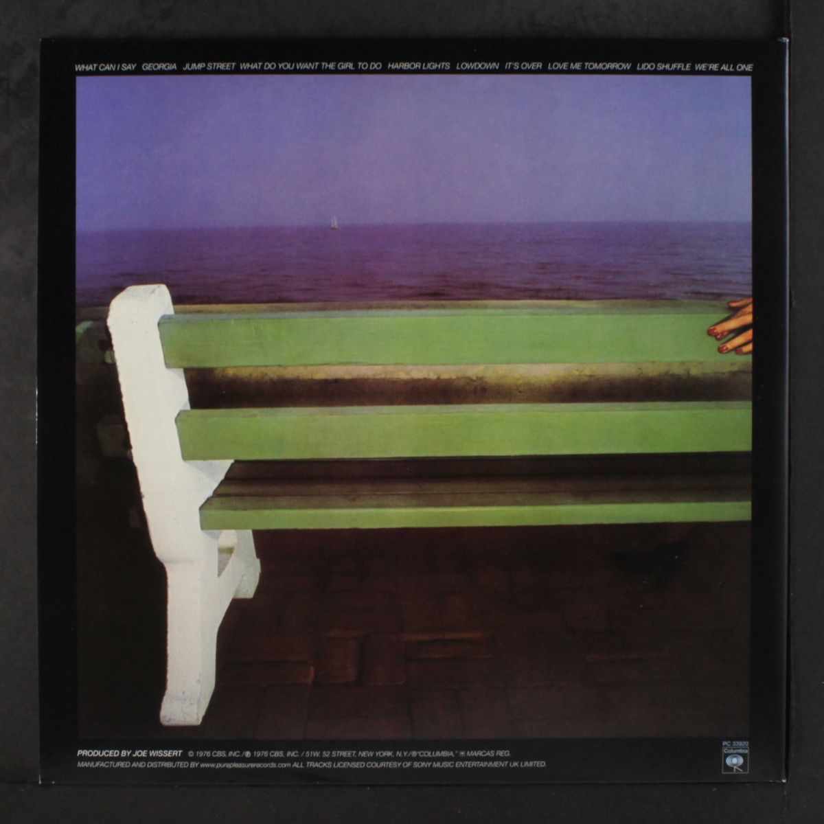 silk degrees by BOZ SCAGGS