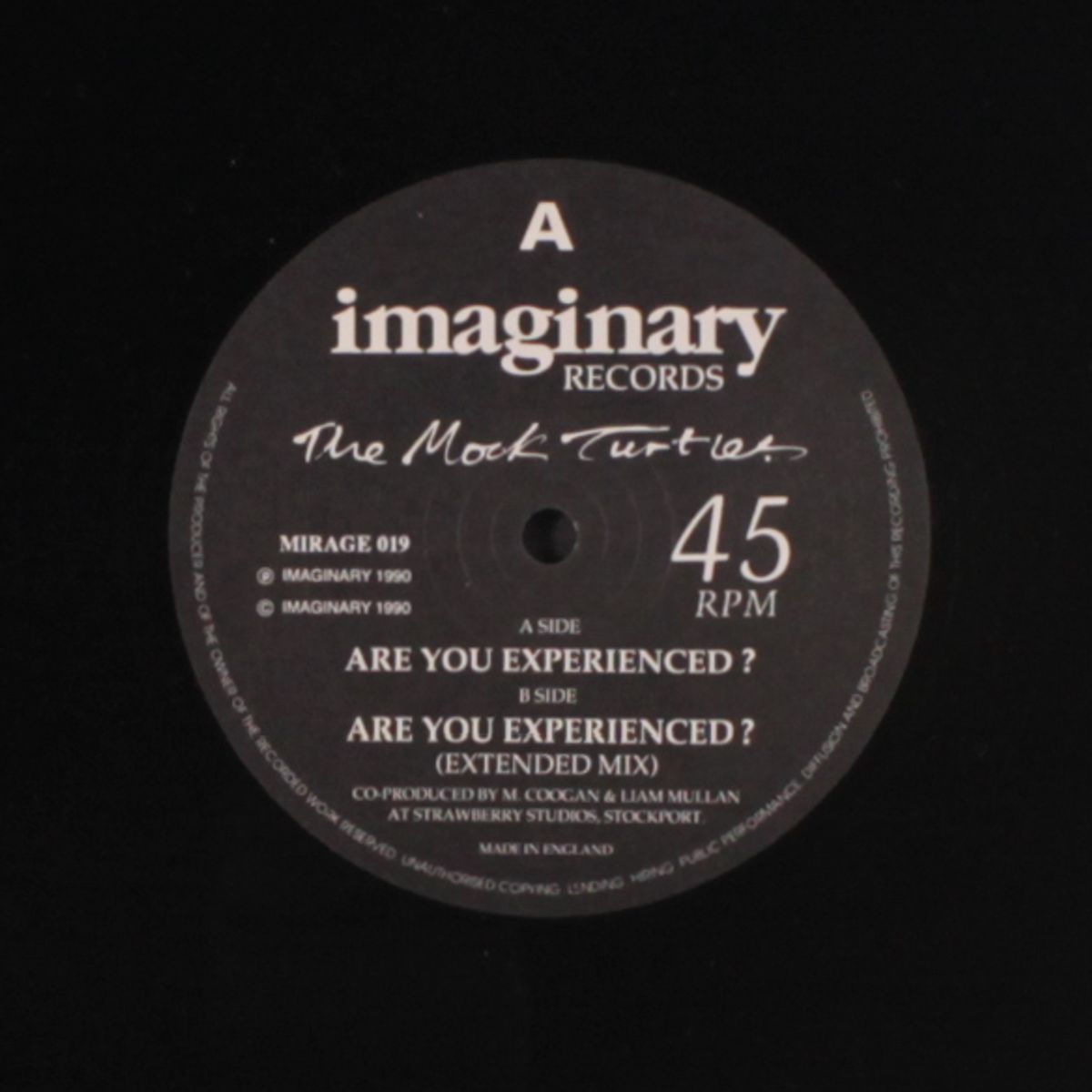 are you experienced? / extended mix by MOCK TURTLES