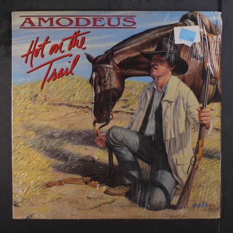 AMODEUS