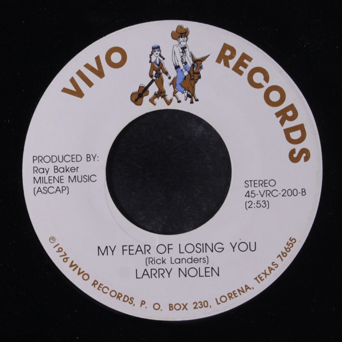 i can't get that last memory down / my fear of losing you by LARRY NOLEN