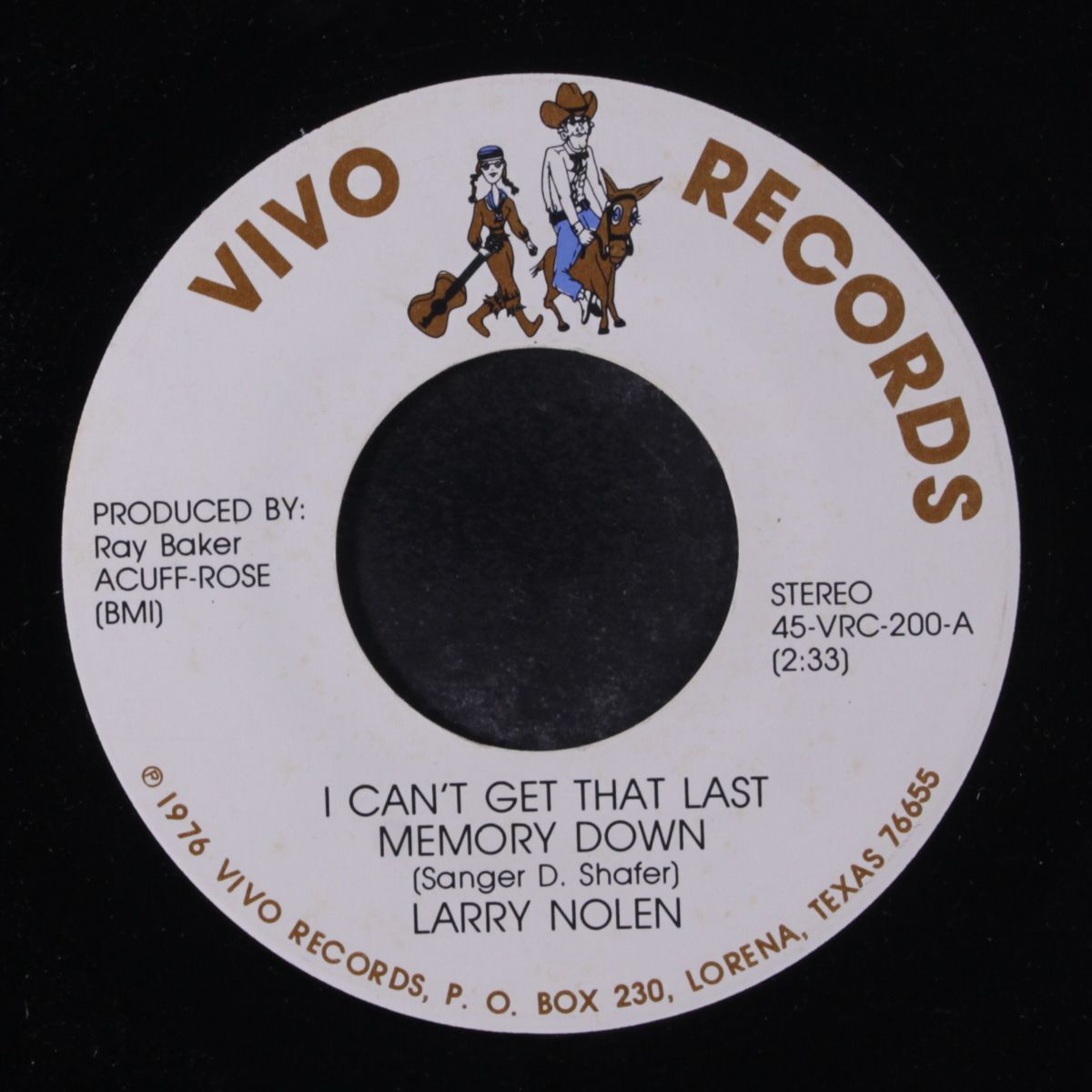 i can't get that last memory down / my fear of losing you by LARRY NOLEN