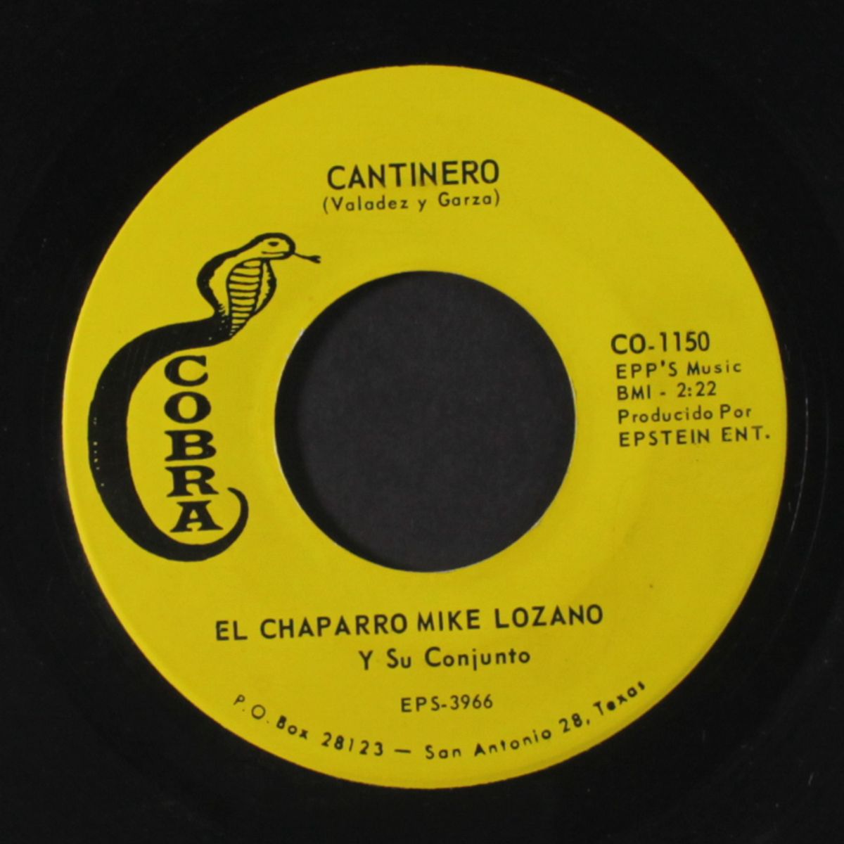 cantinero / no llores corazon by EL CHAPARRO MIKE LOZANO